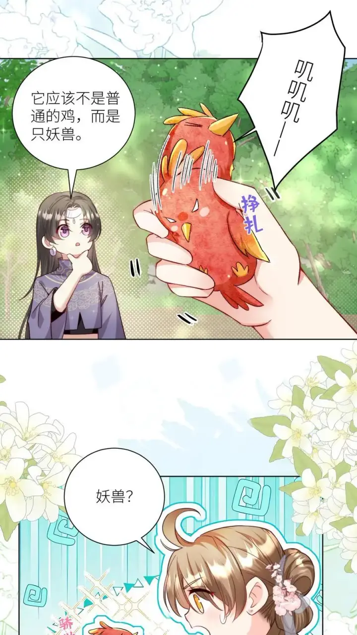 《小师妹明明超强却过分沙雕》第70话 鸡要养肥了再吃！图2