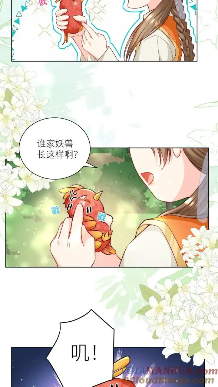 《小师妹明明超强却过分沙雕》第70话 鸡要养肥了再吃！图3