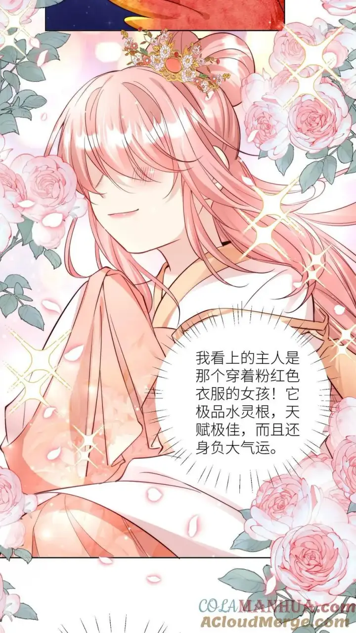《小师妹明明超强却过分沙雕》第70话 鸡要养肥了再吃！图7