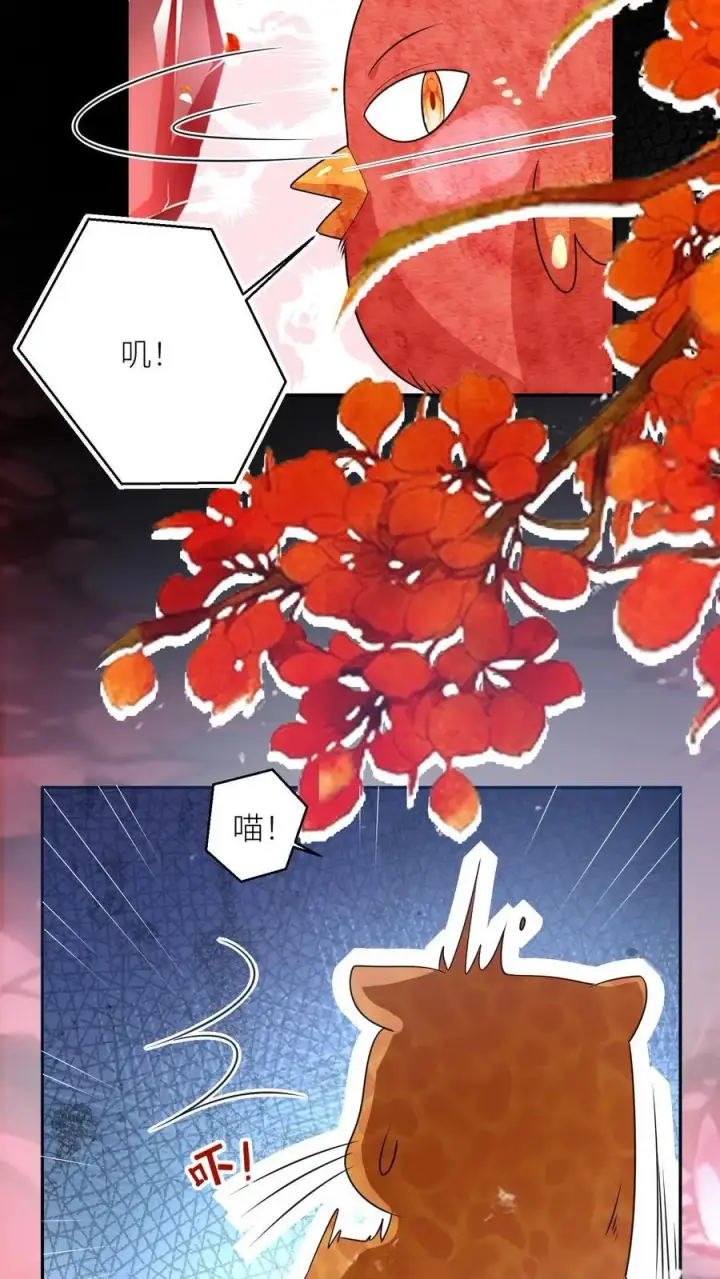 《小师妹明明超强却过分沙雕》第72话 守护兽真的太没有排面了图18