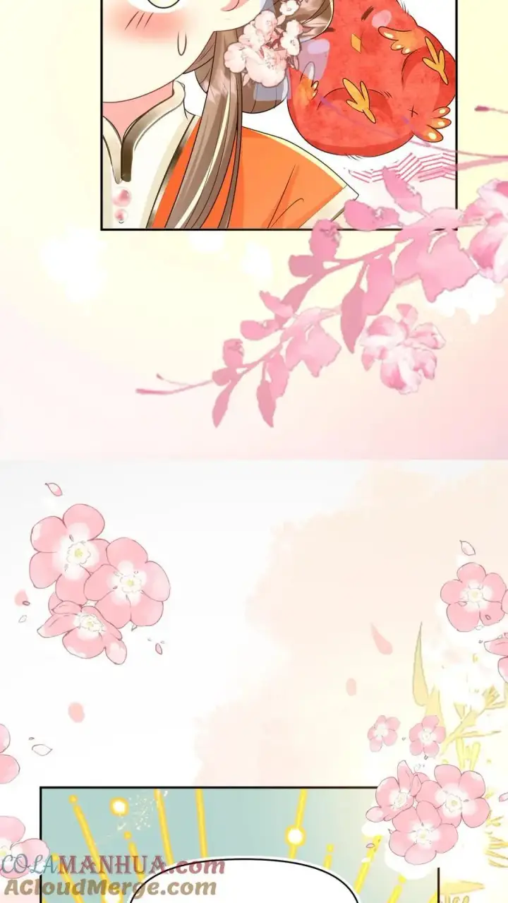 《小师妹明明超强却过分沙雕》第72话 守护兽真的太没有排面了图23