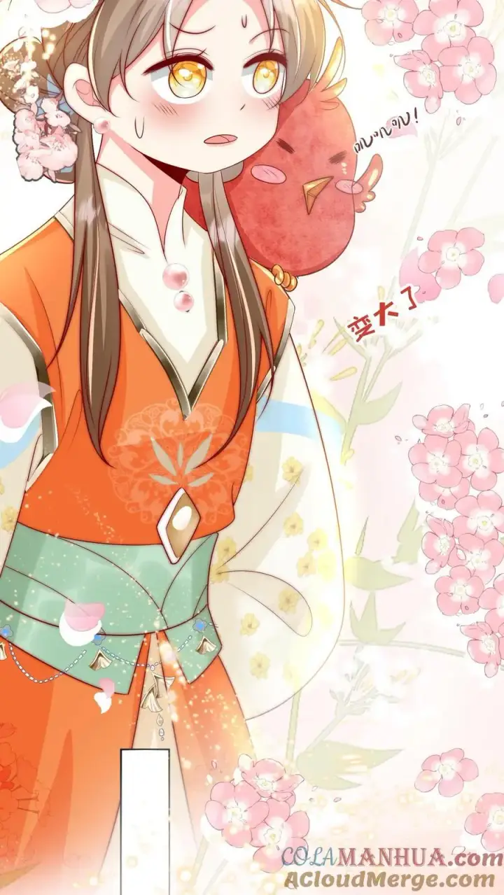 《小师妹明明超强却过分沙雕》第72话 守护兽真的太没有排面了图25