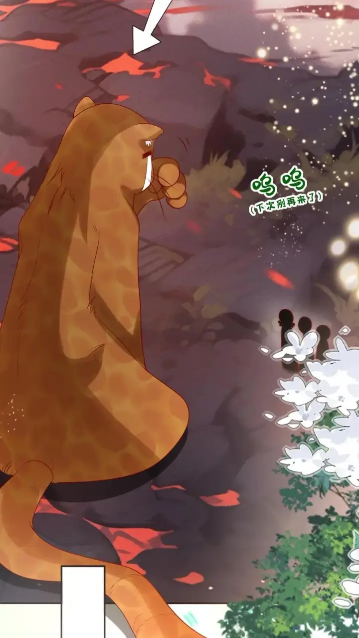 《小师妹明明超强却过分沙雕》第72话 守护兽真的太没有排面了图28