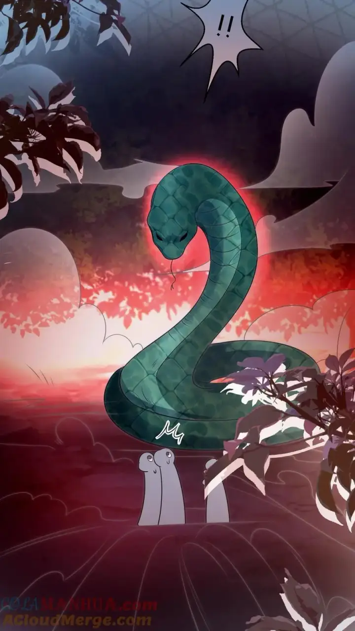 《小师妹明明超强却过分沙雕》第72话 守护兽真的太没有排面了图5