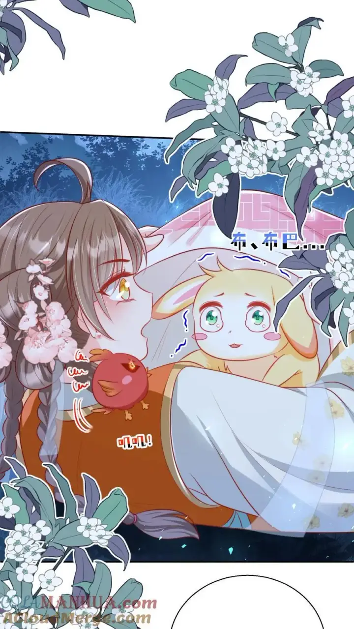 《小师妹明明超强却过分沙雕》第75话 我才不要云鹊的二手货图17