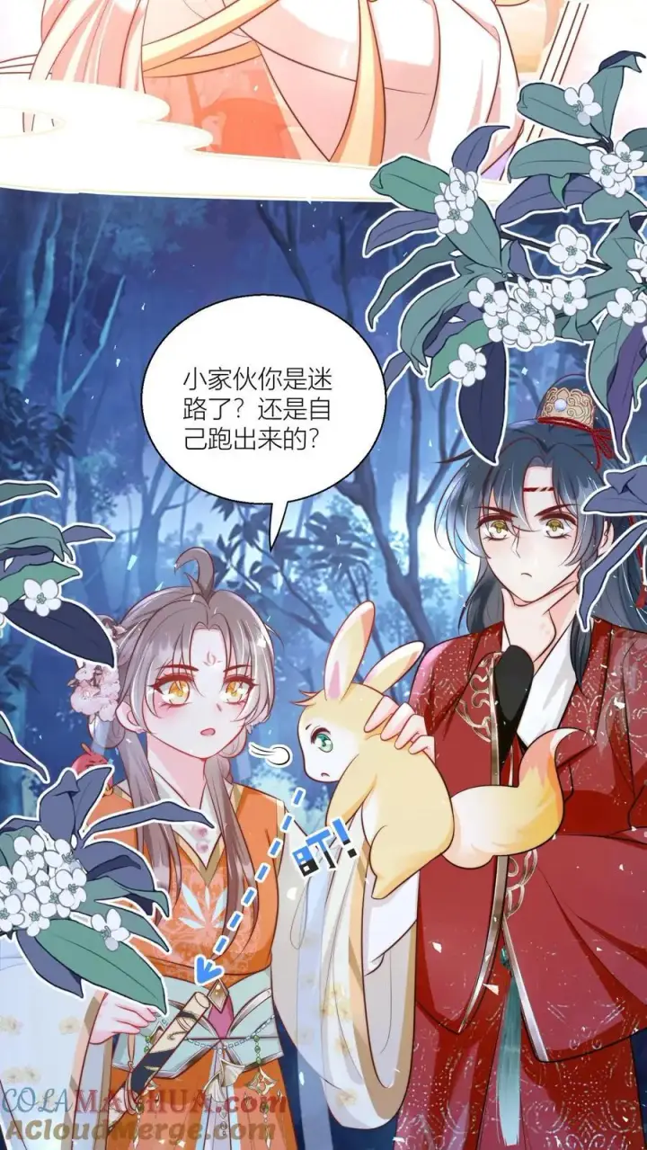 《小师妹明明超强却过分沙雕》第75话 我才不要云鹊的二手货图21