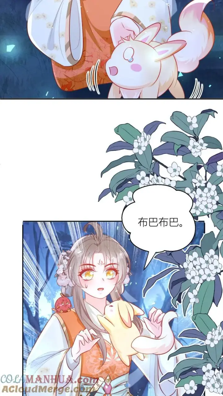 《小师妹明明超强却过分沙雕》第75话 我才不要云鹊的二手货图25