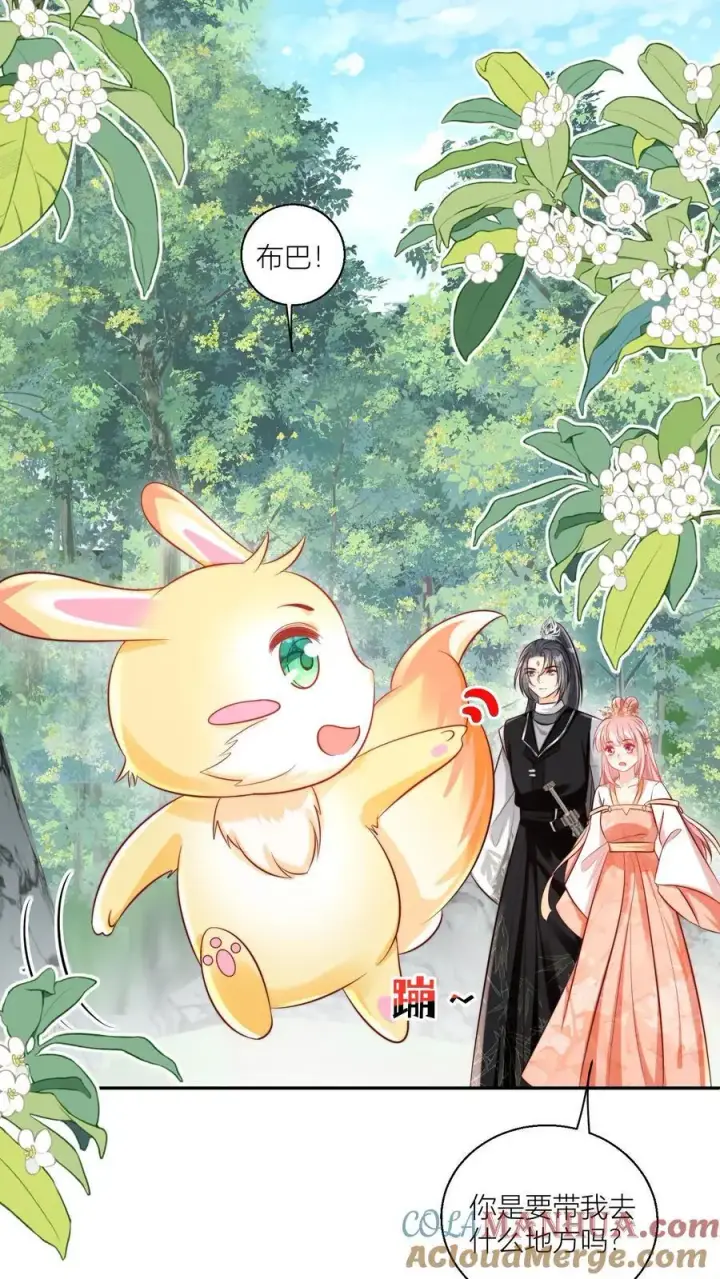 《小师妹明明超强却过分沙雕》第75话 我才不要云鹊的二手货图3