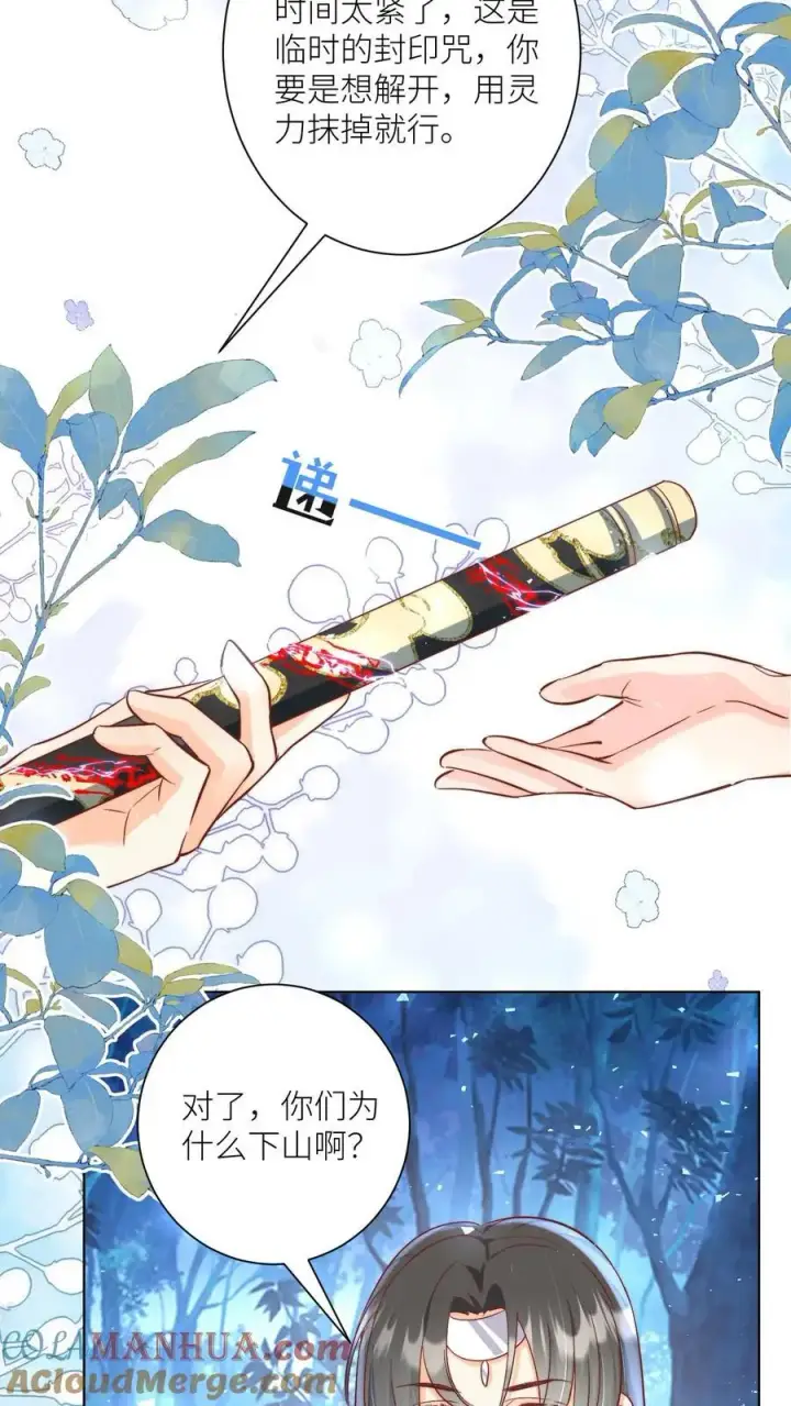《小师妹明明超强却过分沙雕》第79话 大师兄可能会当场裂开图9