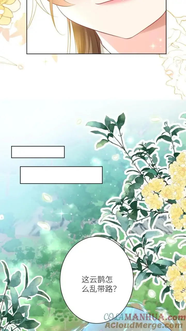 《小师妹明明超强却过分沙雕》第80话 阴魂不散三人组图21