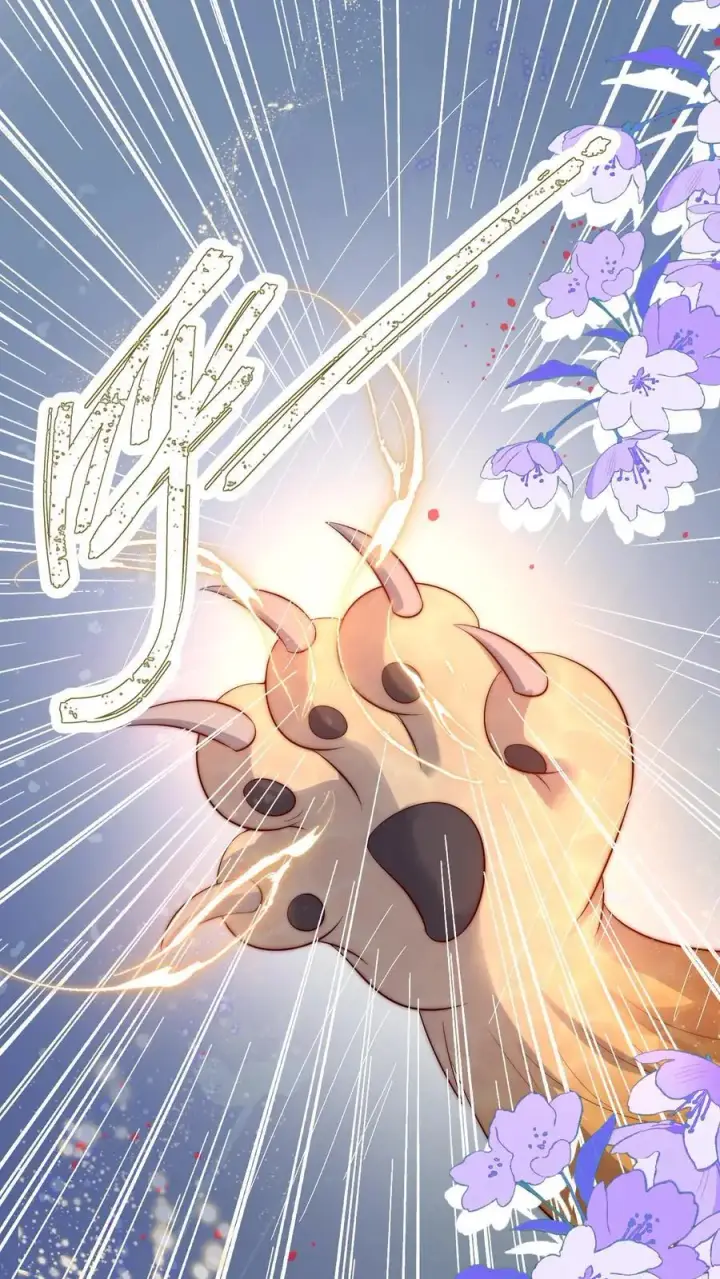 《小师妹明明超强却过分沙雕》第84话 不准在我头上絮窝！图2