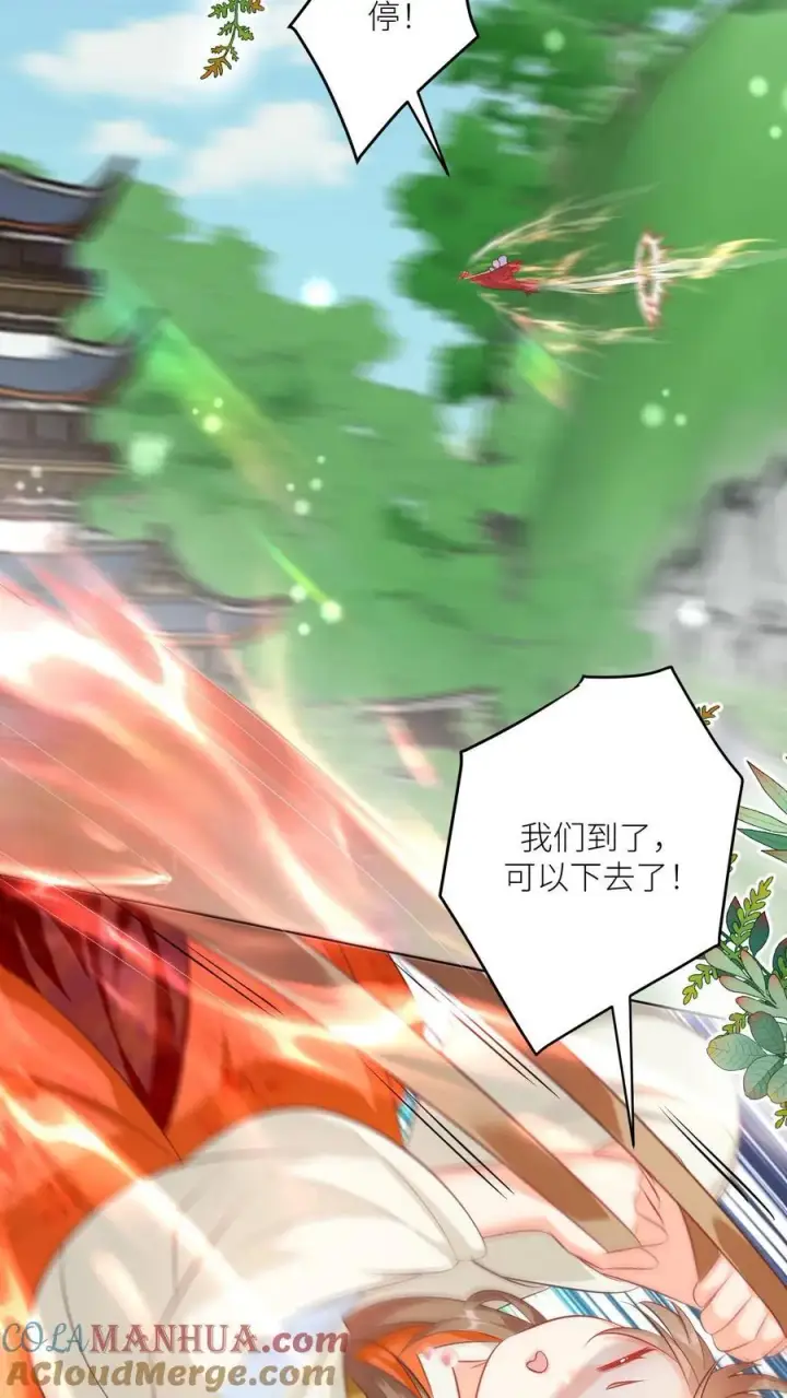 《小师妹明明超强却过分沙雕》第85话 骑鸟飞行是个技术活啊图11