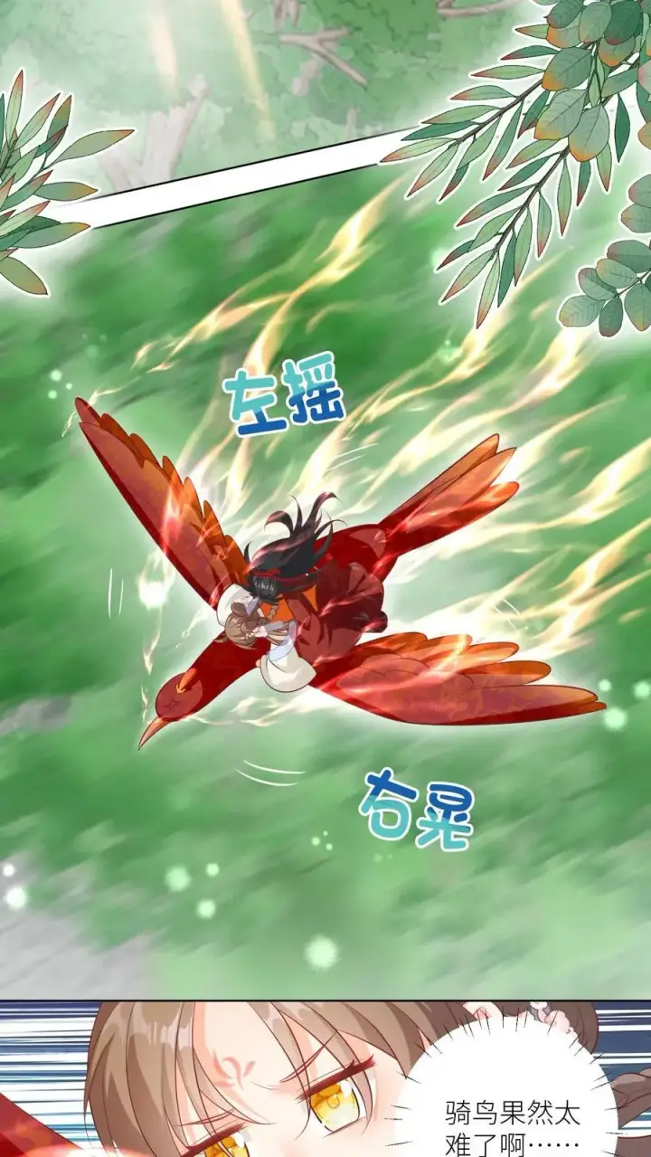 《小师妹明明超强却过分沙雕》第85话 骑鸟飞行是个技术活啊图8