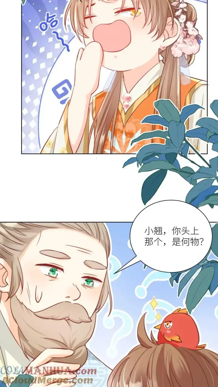 《小师妹明明超强却过分沙雕》第87话 我不行了让我摆烂吧！图13