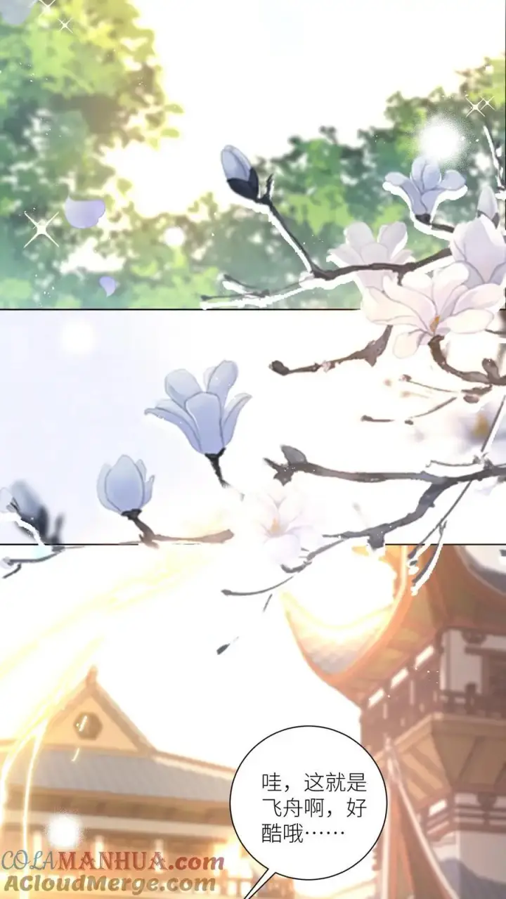 《小师妹明明超强却过分沙雕》第93话 比起亲传还是外门爽啊图15