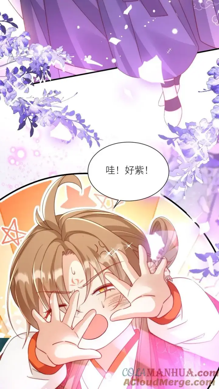 《小师妹明明超强却过分沙雕》第99话 长明宗老年人散步组合图5