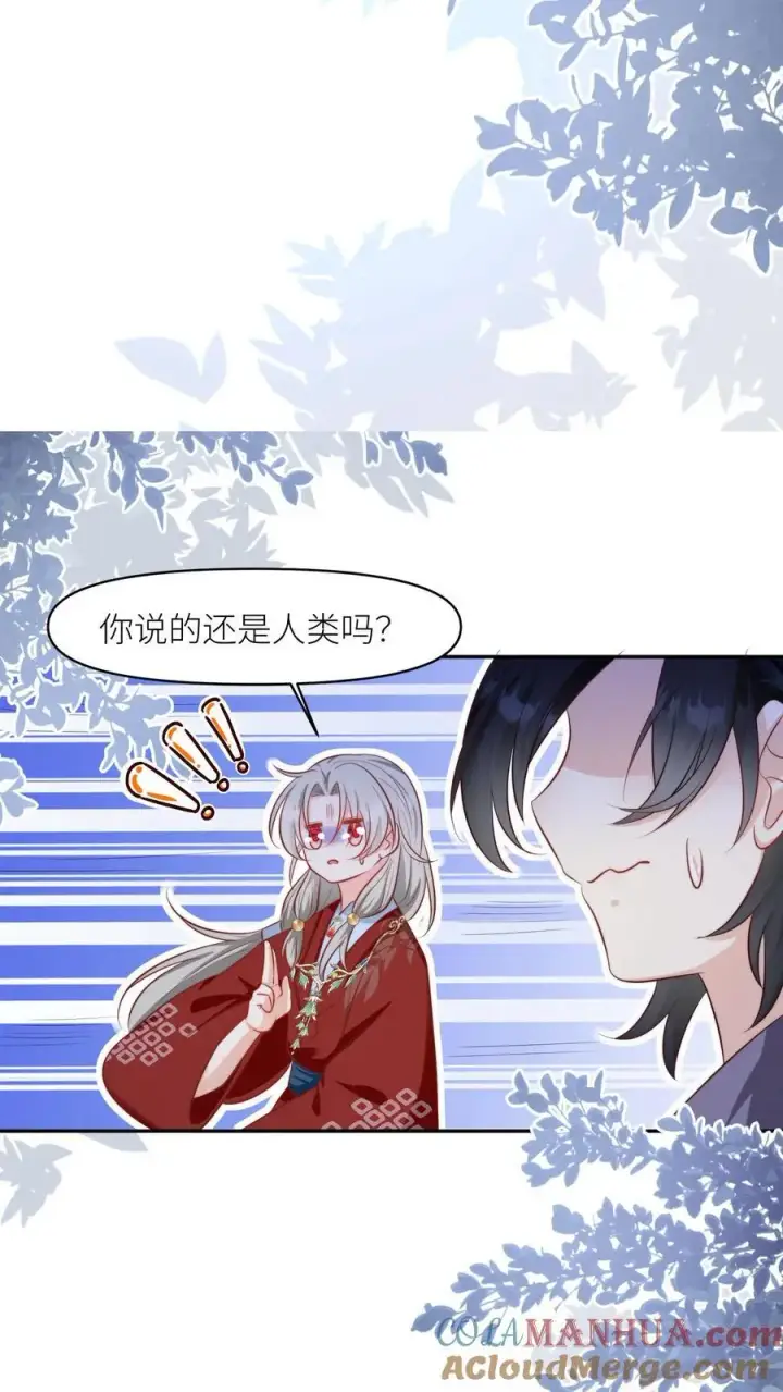 《小师妹明明超强却过分沙雕》第156话 你竟然欺骗善良无辜的我们图25