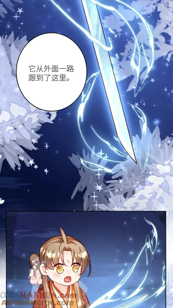 《小师妹明明超强却过分沙雕》第203话 我想要二宝、三宝、四宝图11