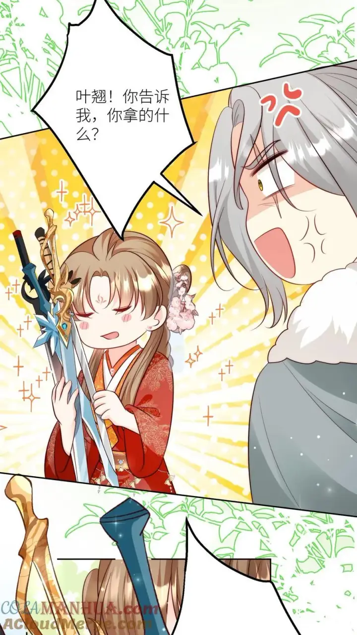 《小师妹明明超强却过分沙雕》第204话 名剑为什么都这么想不开？图25
