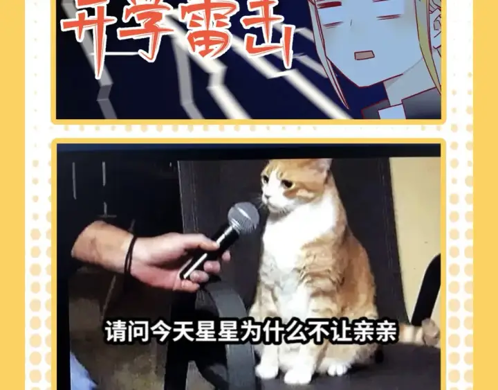 《星辰于我》第38期  特别企划：一波梗图来袭！图12