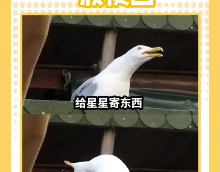 《星辰于我》第38期  特别企划：一波梗图来袭！图3