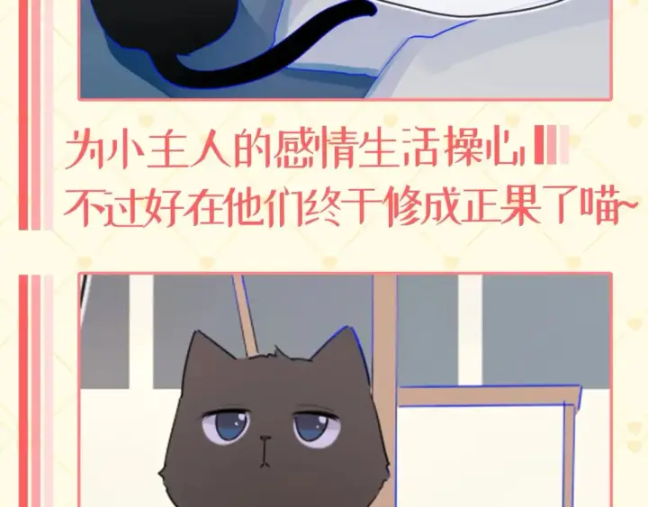 《星辰于我》第40期  特别企划：猫猫仙贝的悠闲生活图10