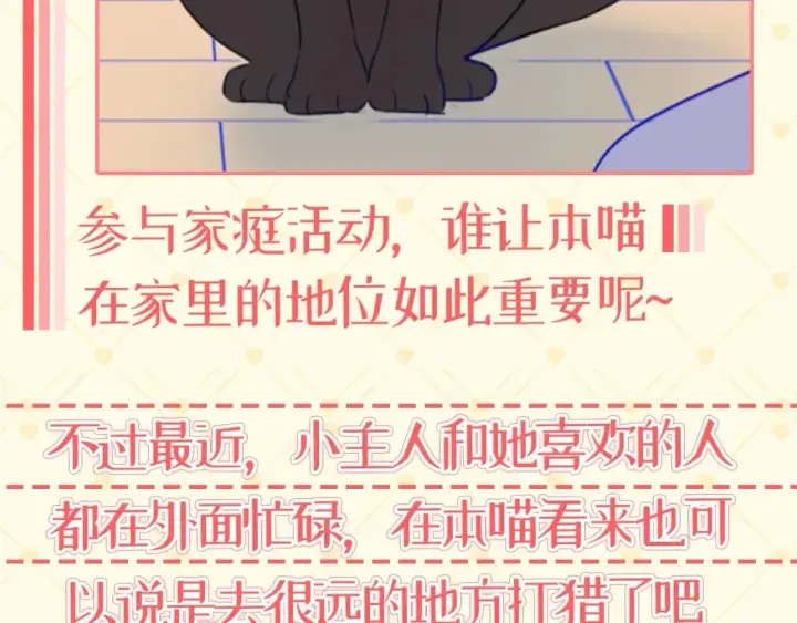 《星辰于我》第40期  特别企划：猫猫仙贝的悠闲生活图12