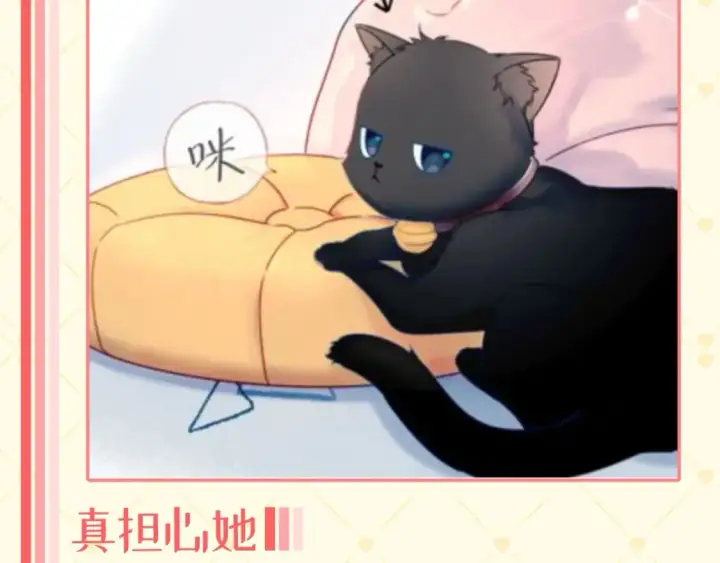 《星辰于我》第40期  特别企划：猫猫仙贝的悠闲生活图3