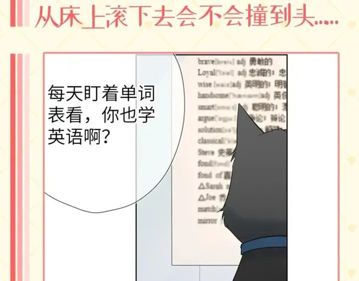 《星辰于我》第40期  特别企划：猫猫仙贝的悠闲生活图4