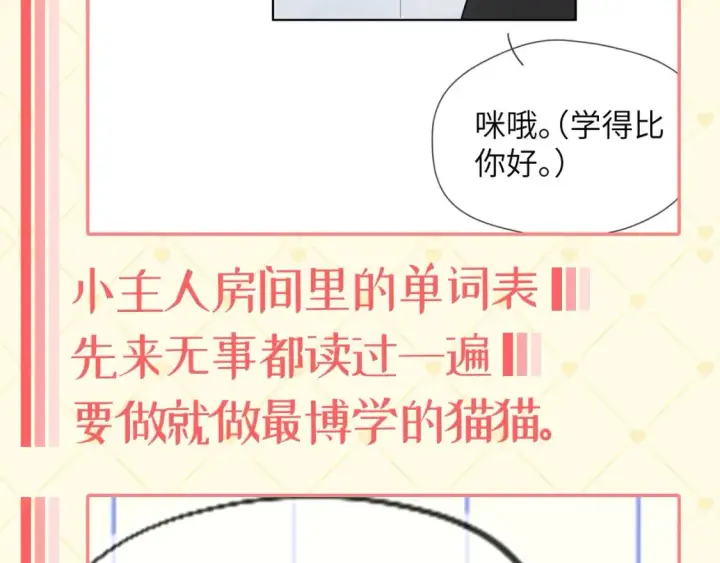 《星辰于我》第40期  特别企划：猫猫仙贝的悠闲生活图5