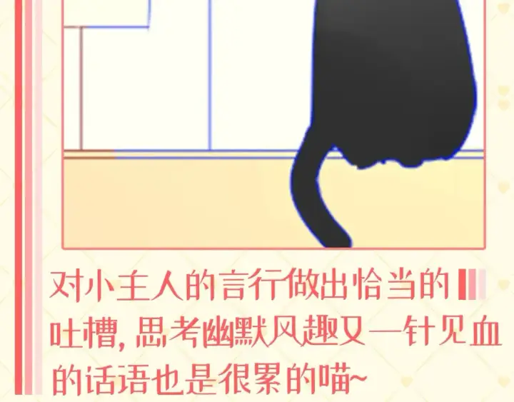 《星辰于我》第40期  特别企划：猫猫仙贝的悠闲生活图7