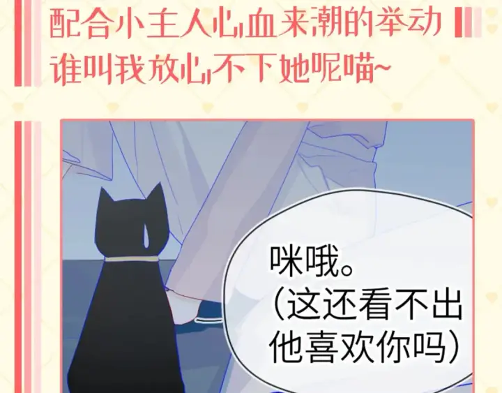 《星辰于我》第40期  特别企划：猫猫仙贝的悠闲生活图9