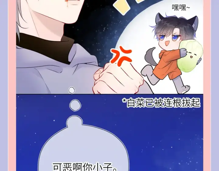《星辰于我》第128期 特别企划：星星和司南在一起后，深深受伤的男人们图11