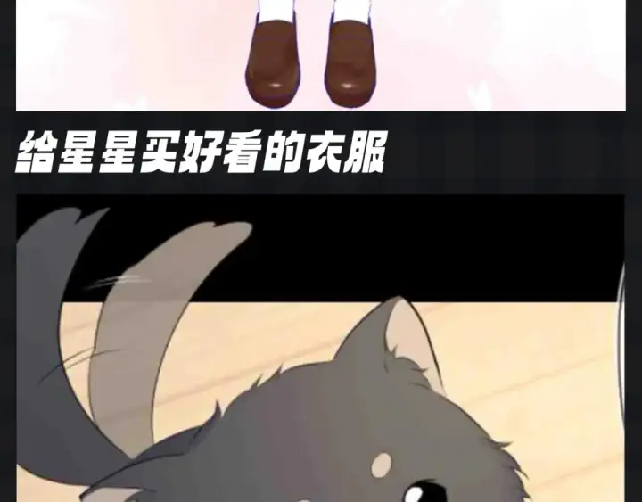 《星辰于我》第142期 搞点事：来看看司南购物车里的东西吧图7