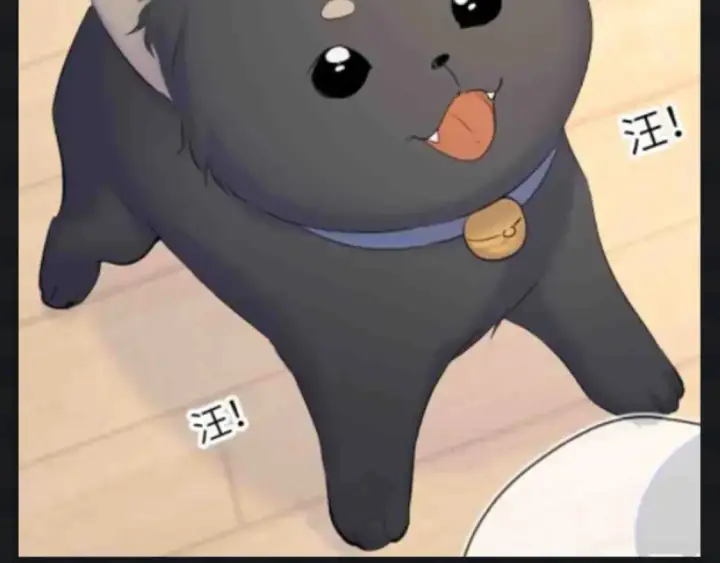 《星辰于我》第142期 搞点事：来看看司南购物车里的东西吧图8