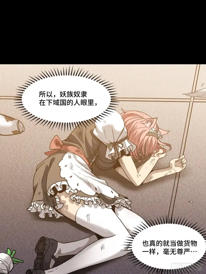 《星甲魂将传》067 下域国图30