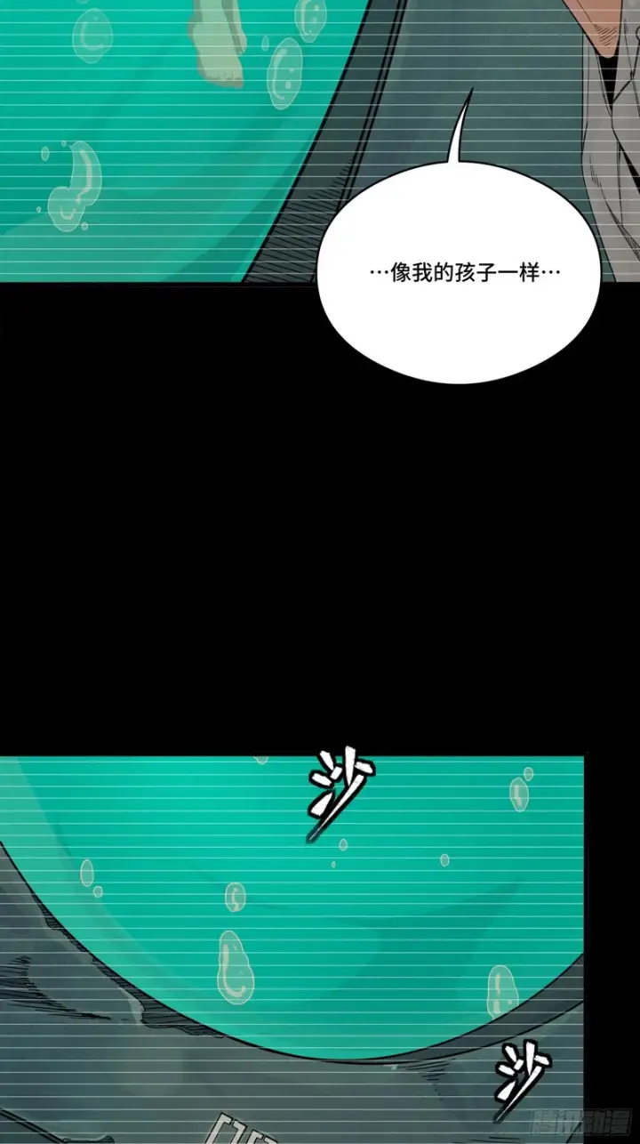 《星甲魂将传》330 域外之地图18