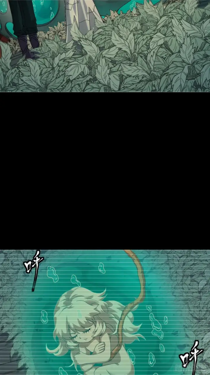 《星甲魂将传》330 域外之地图5