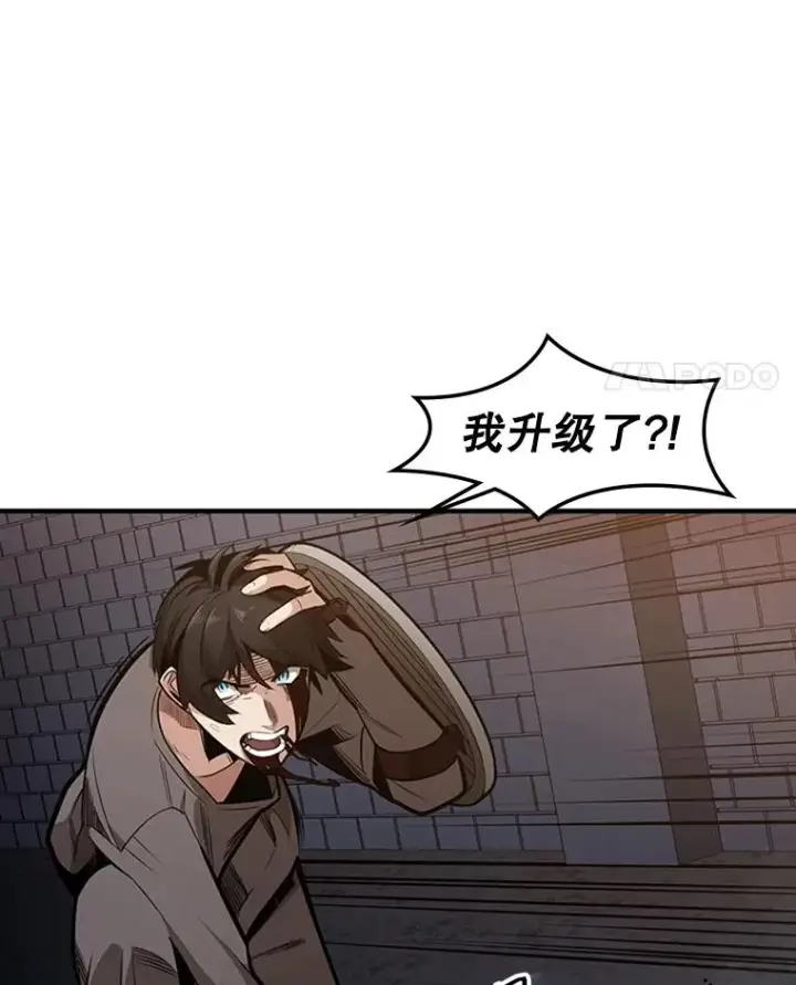 《新手关卡太难了》6.等级提升图102