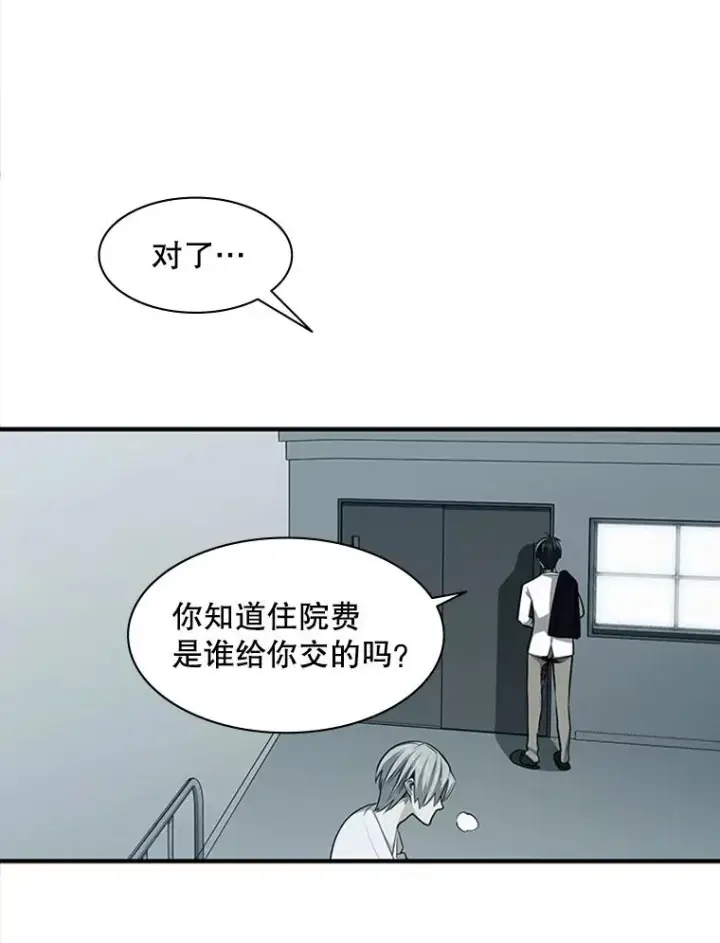 《新手关卡太难了》16.2层通关图39