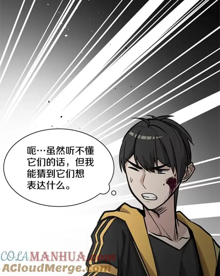 《新手关卡太难了》28.4层通关图41