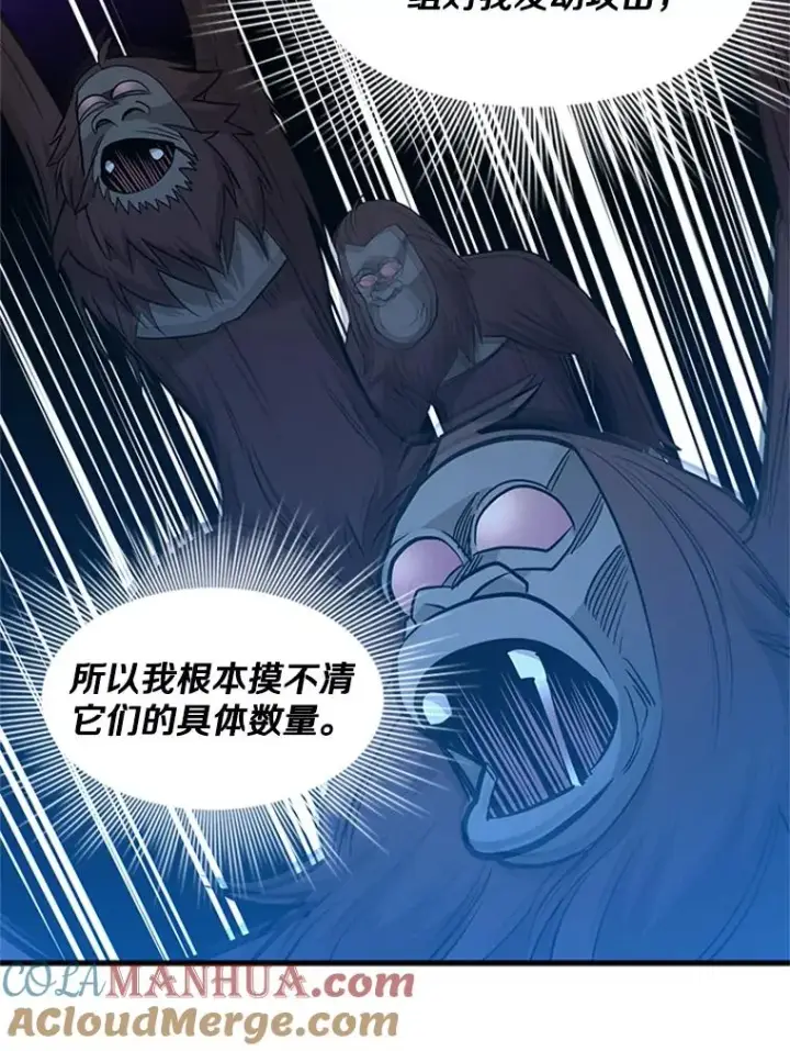 《新手关卡太难了》55.密林（4）图13