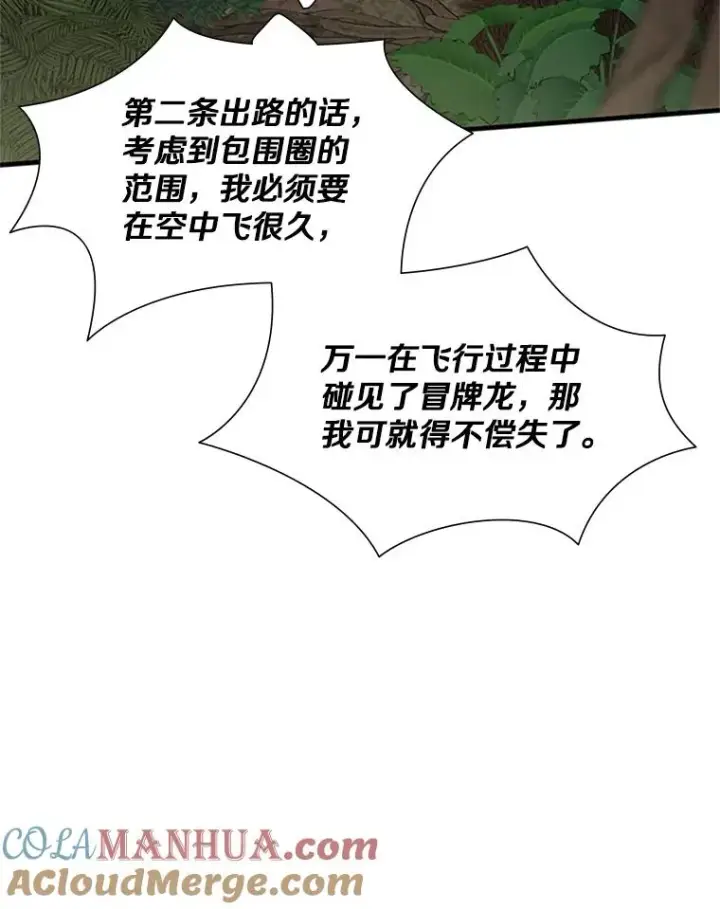 《新手关卡太难了》55.密林（4）图73
