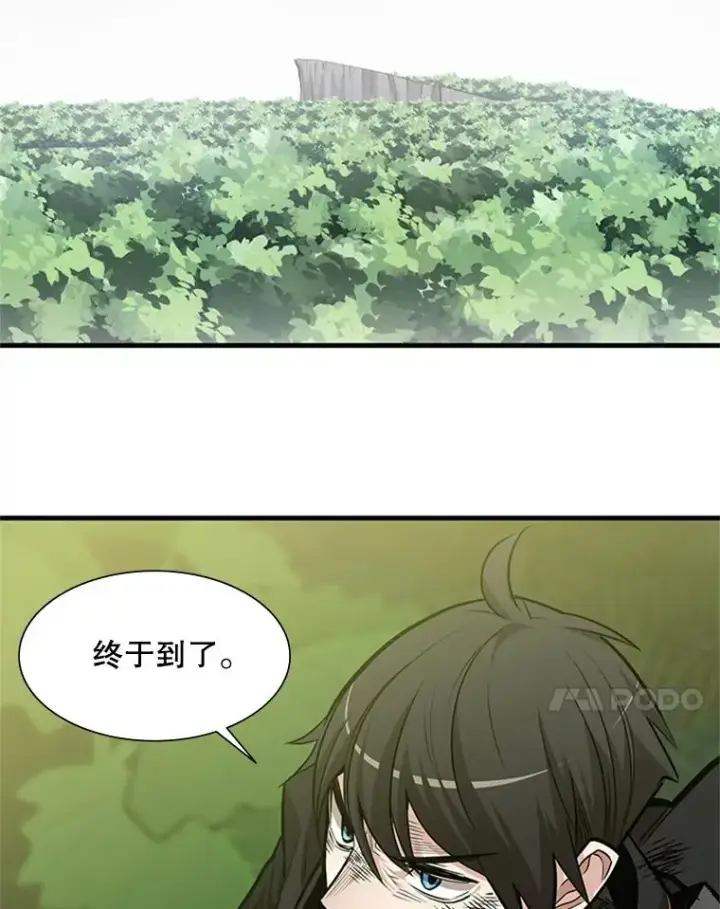 《新手关卡太难了》55.密林（4）图82