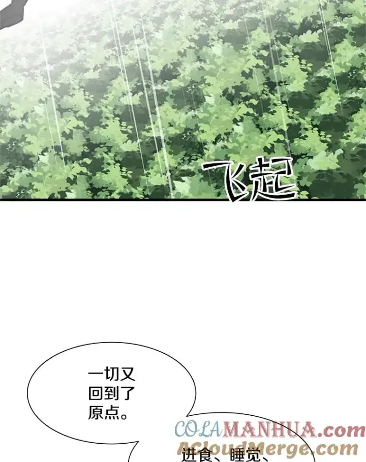 《新手关卡太难了》56.密林（5）图49