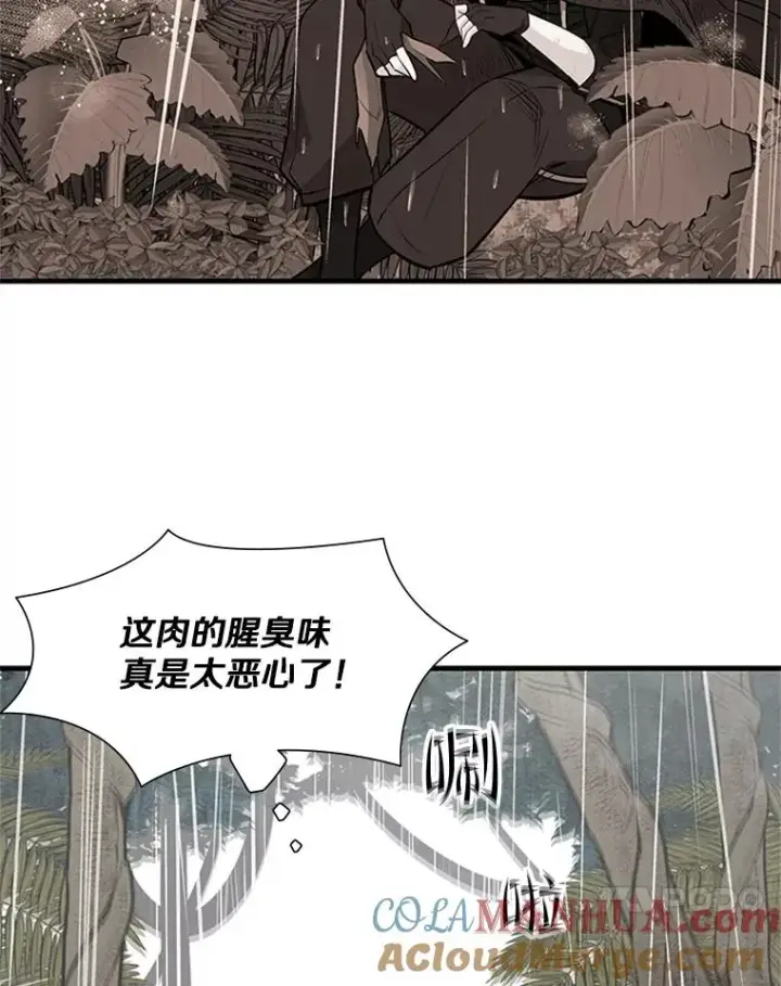 《新手关卡太难了》56.密林（5）图61