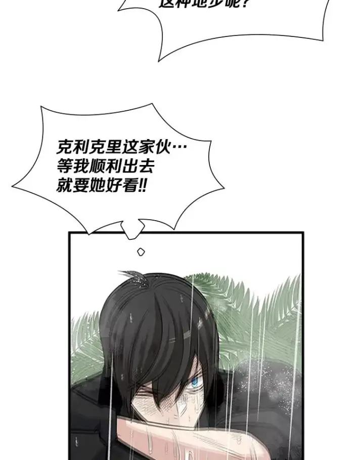 《新手关卡太难了》56.密林（5）图63
