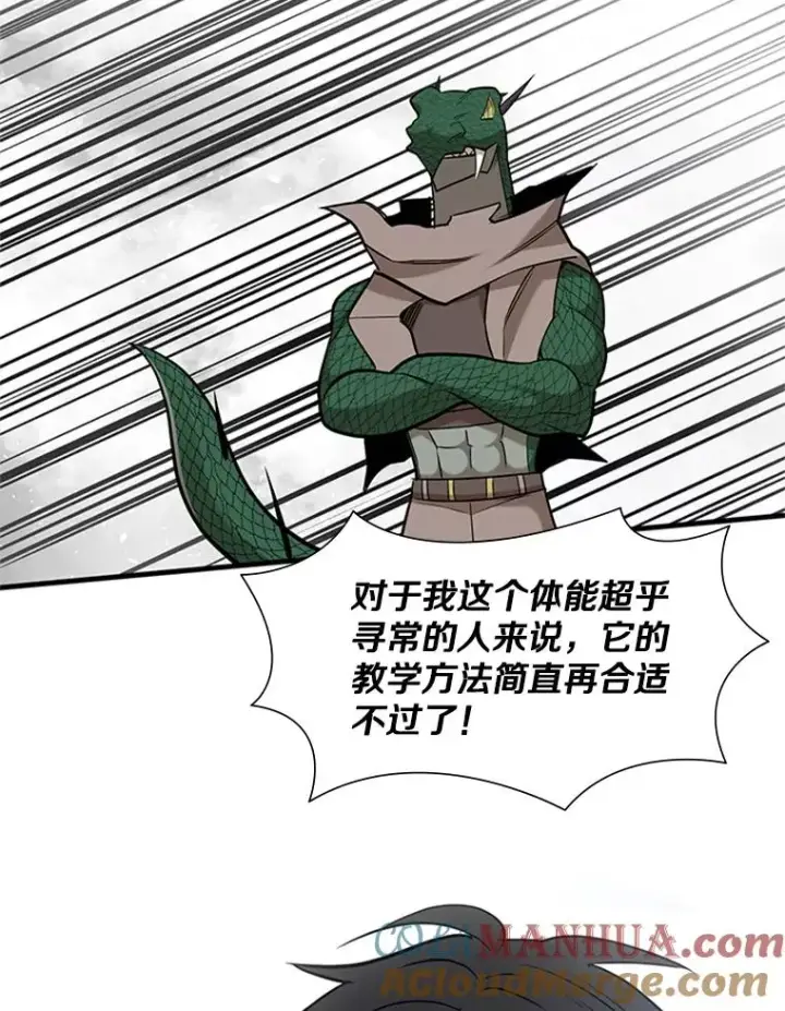 《新手关卡太难了》59.密林（8）图109