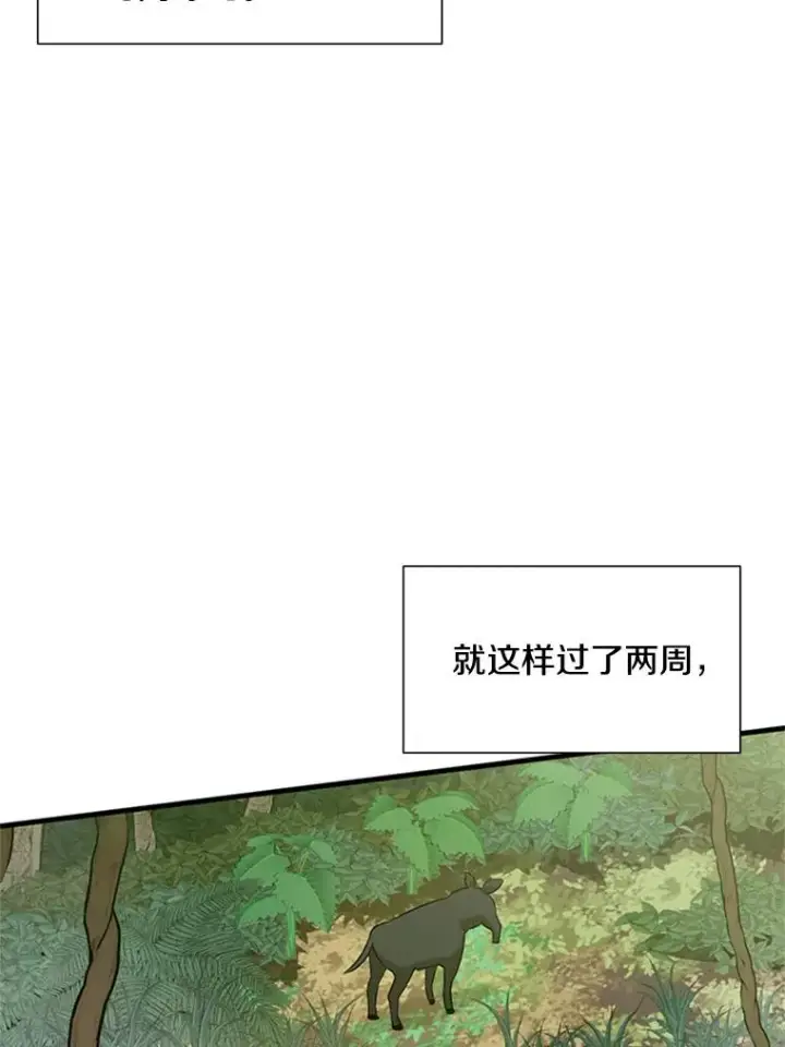 《新手关卡太难了》59.密林（8）图12