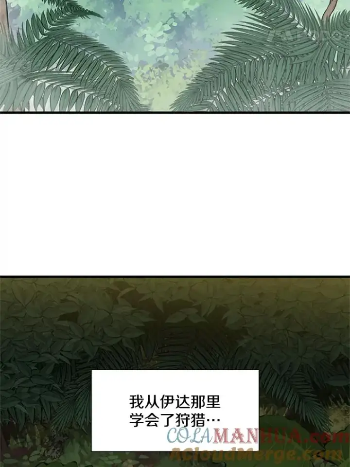 《新手关卡太难了》59.密林（8）图5
